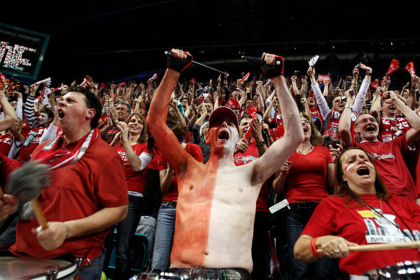 为中锋提供 为中锋提供