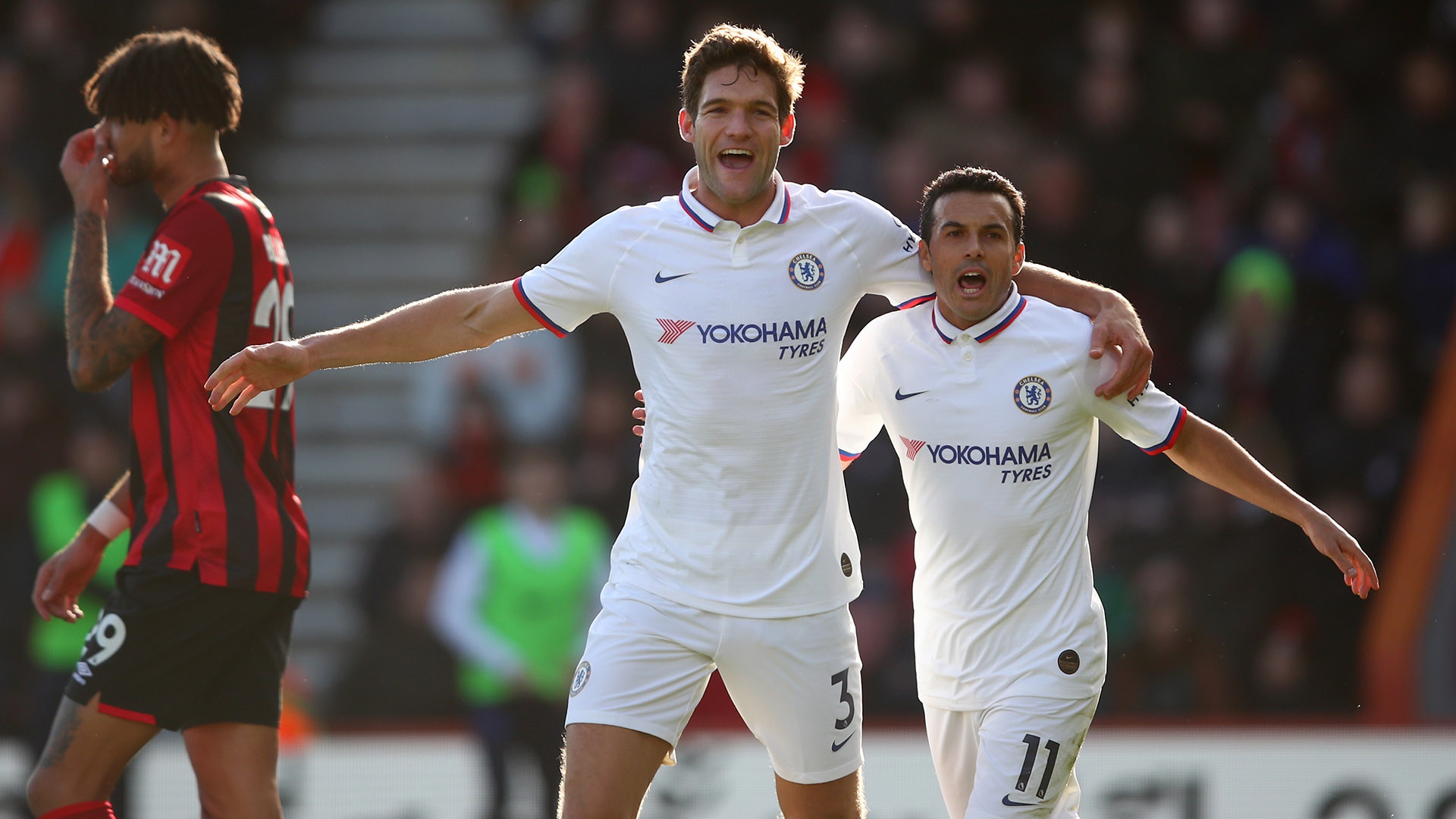 球迷关注的 球迷关注的